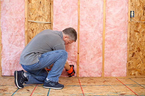 Best Insulation Air Sealing  in Christiansburg, VA